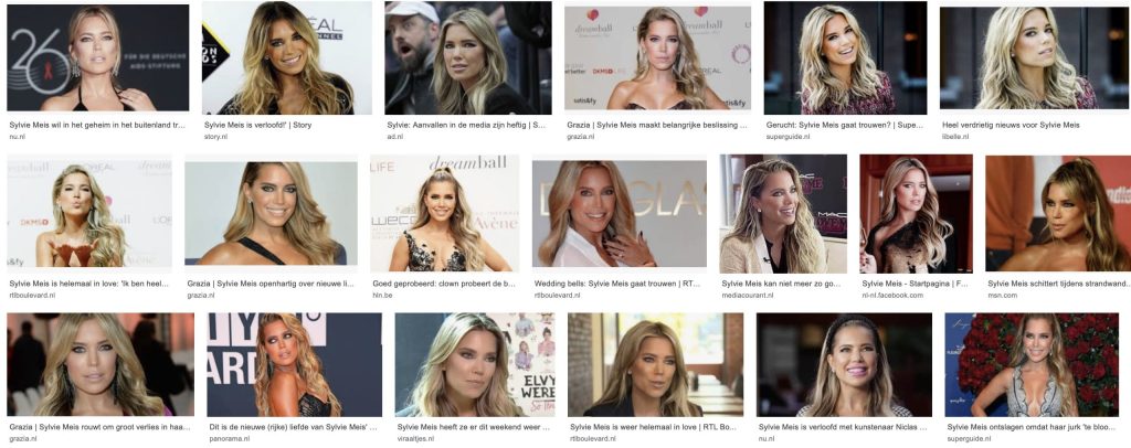 Sylvie Meis